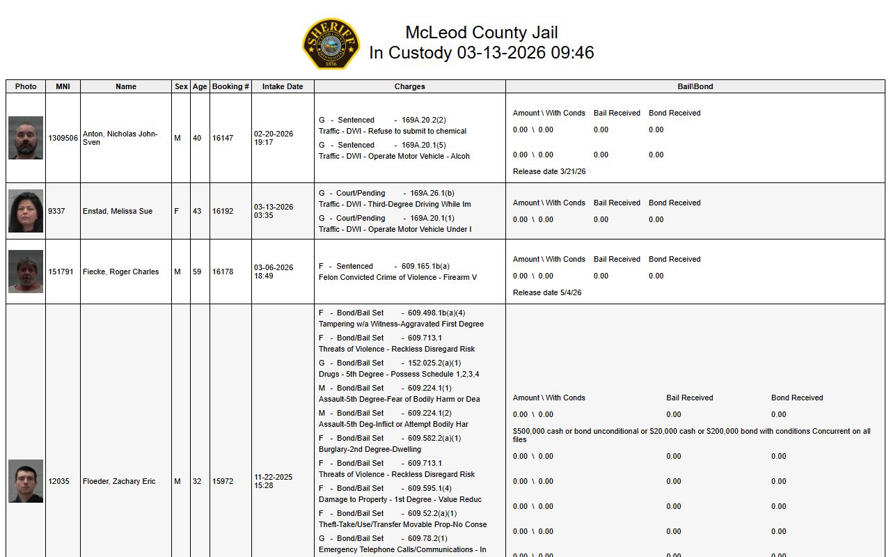 McLeod County Jail Mugshots